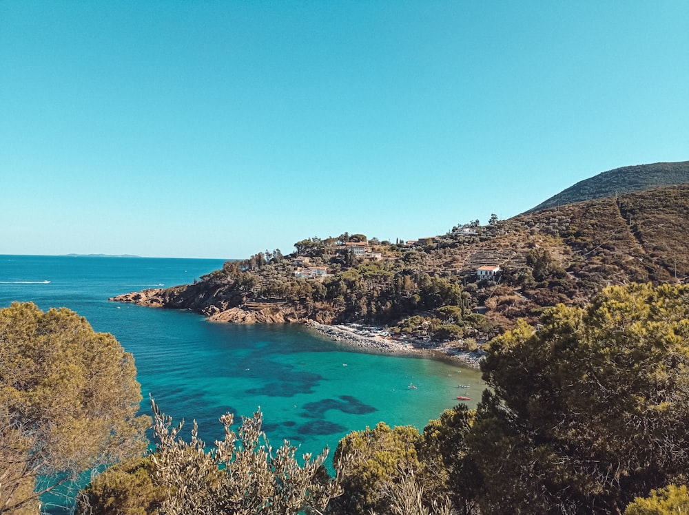 a body of water surrounded by trees and a hill