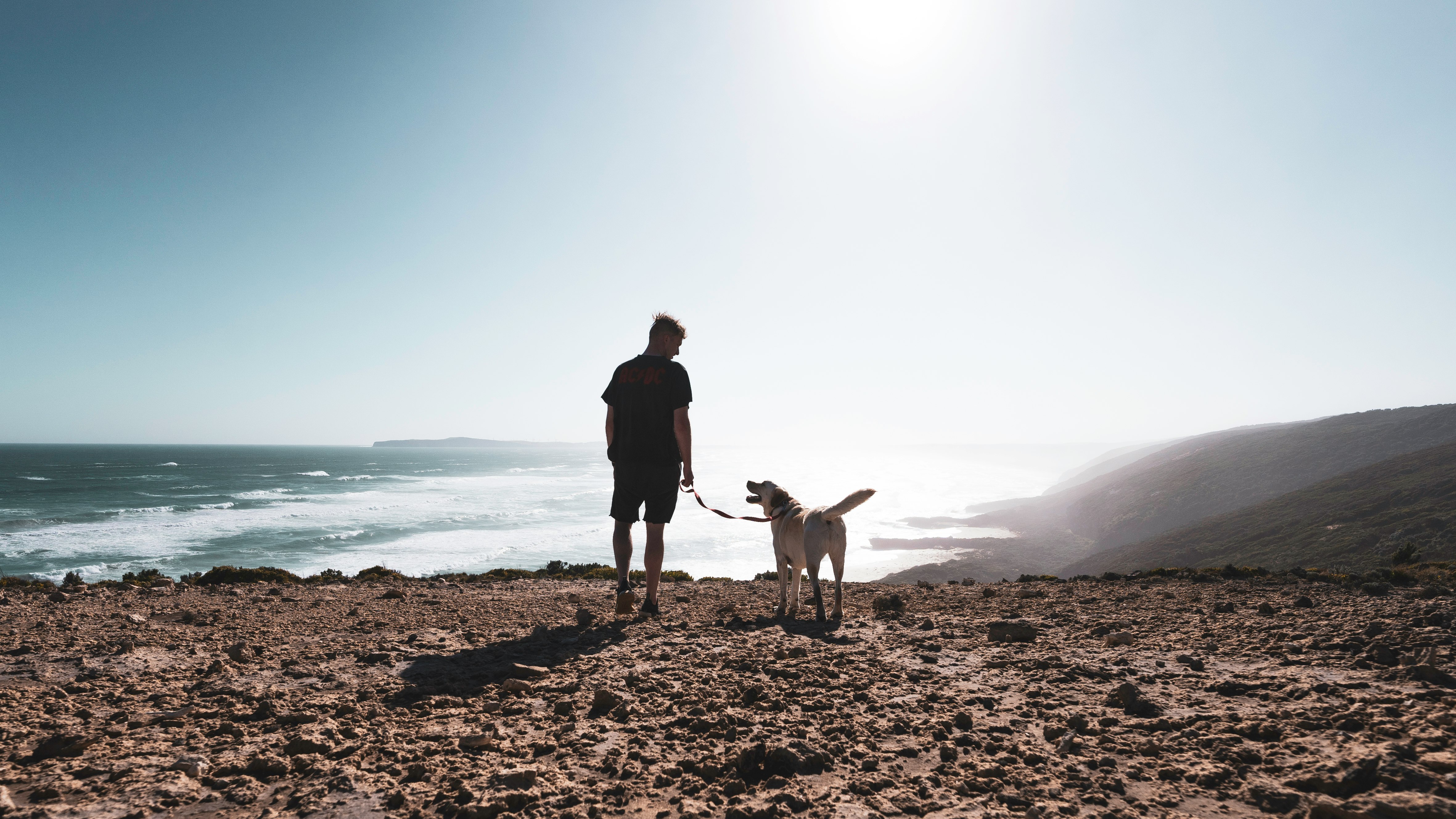 man in black jacket and brown pants standing beside brown short coated dog on seashore during