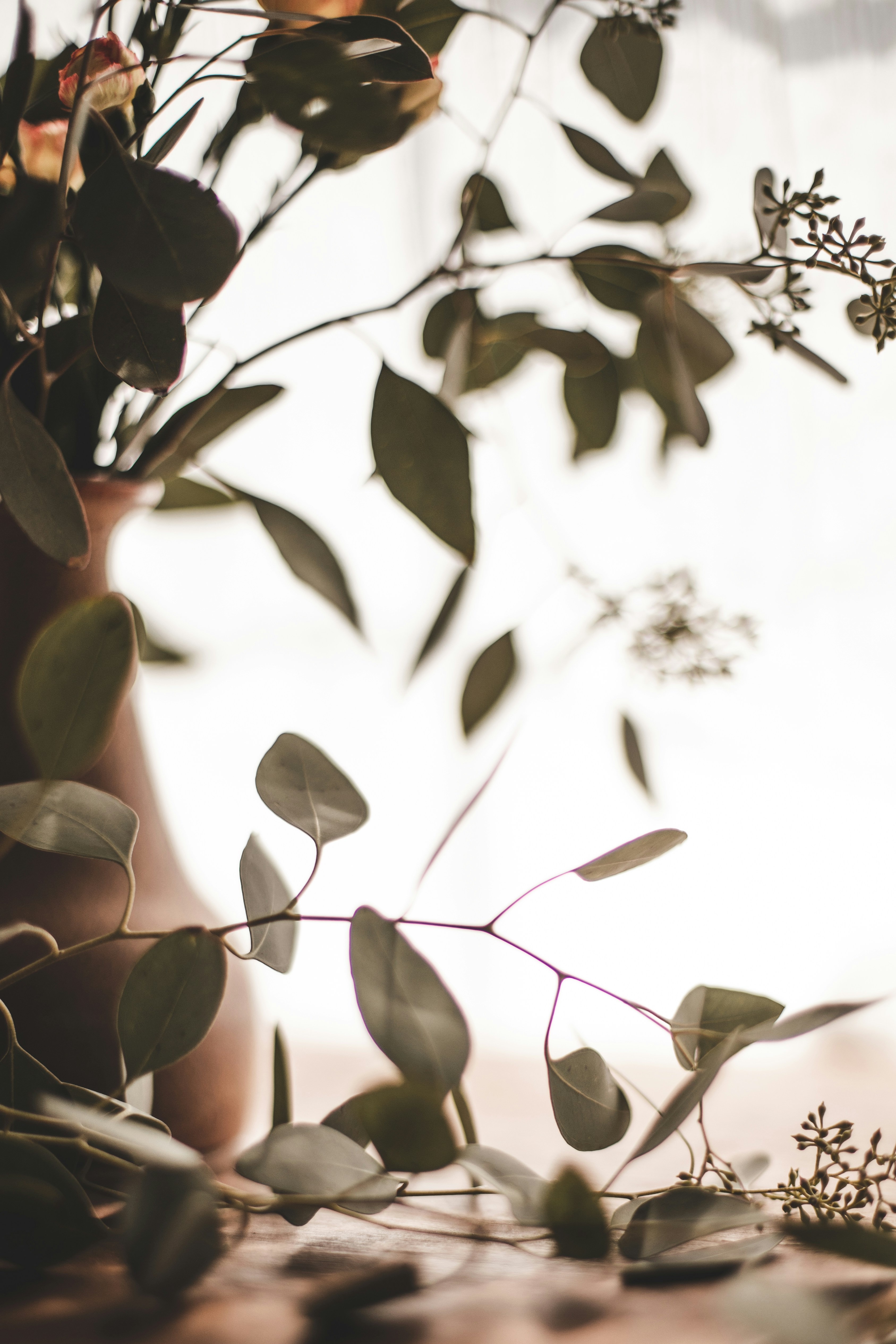 Photo by sixteenmilesout