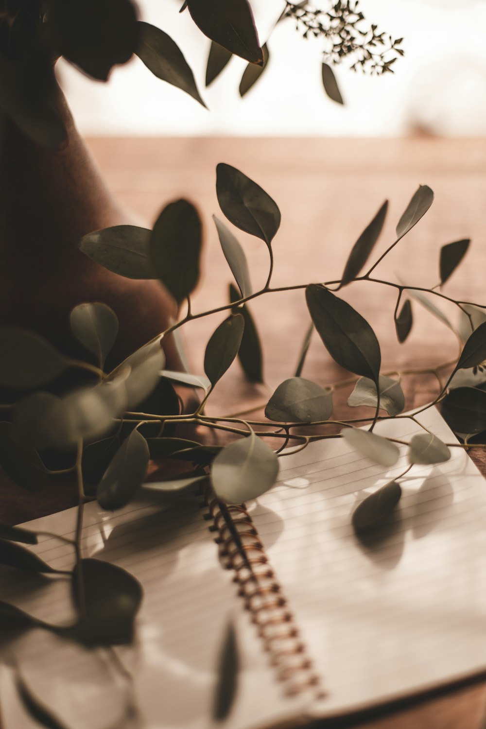 green plant on brown wooden table