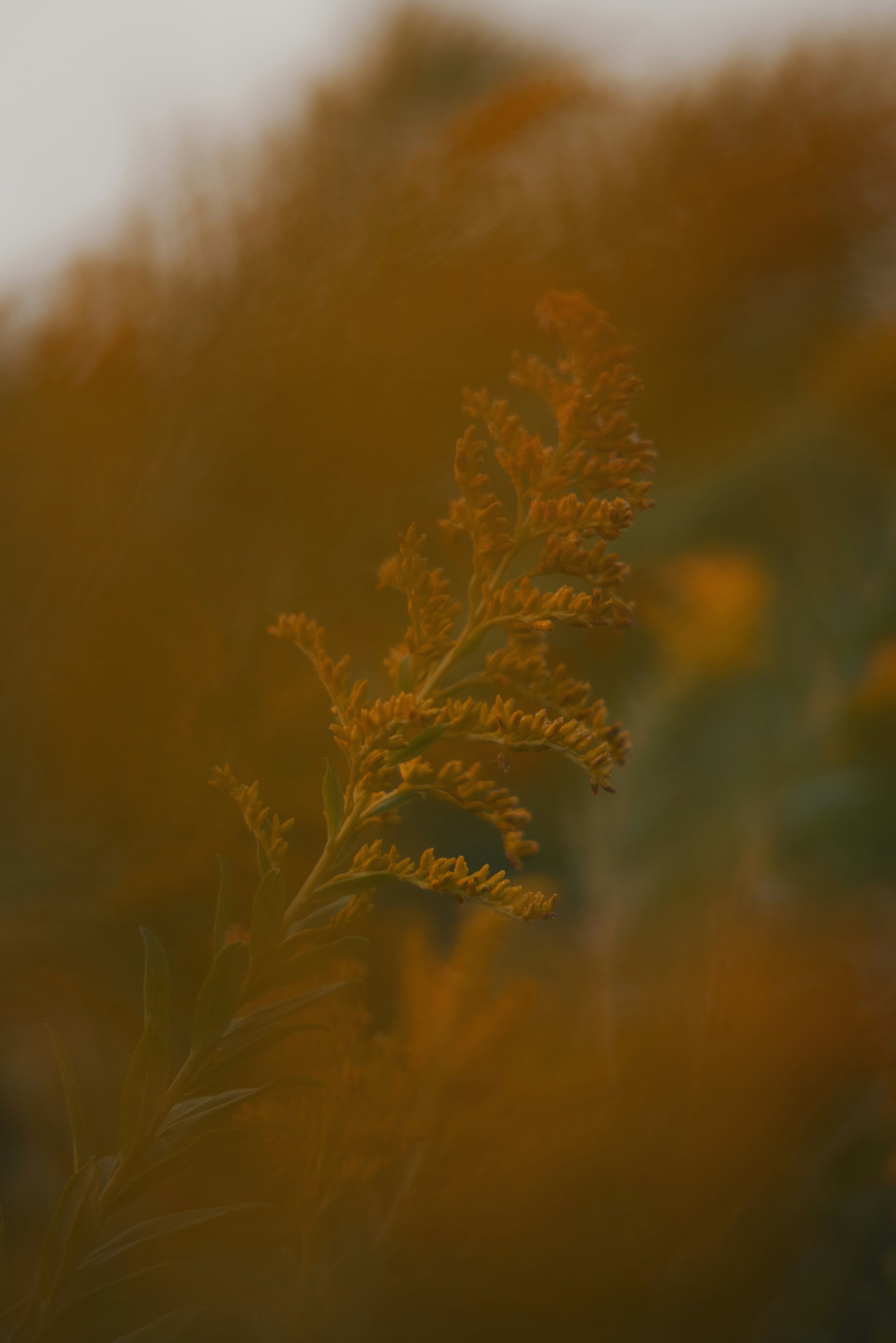 Photo by ldpeterson11