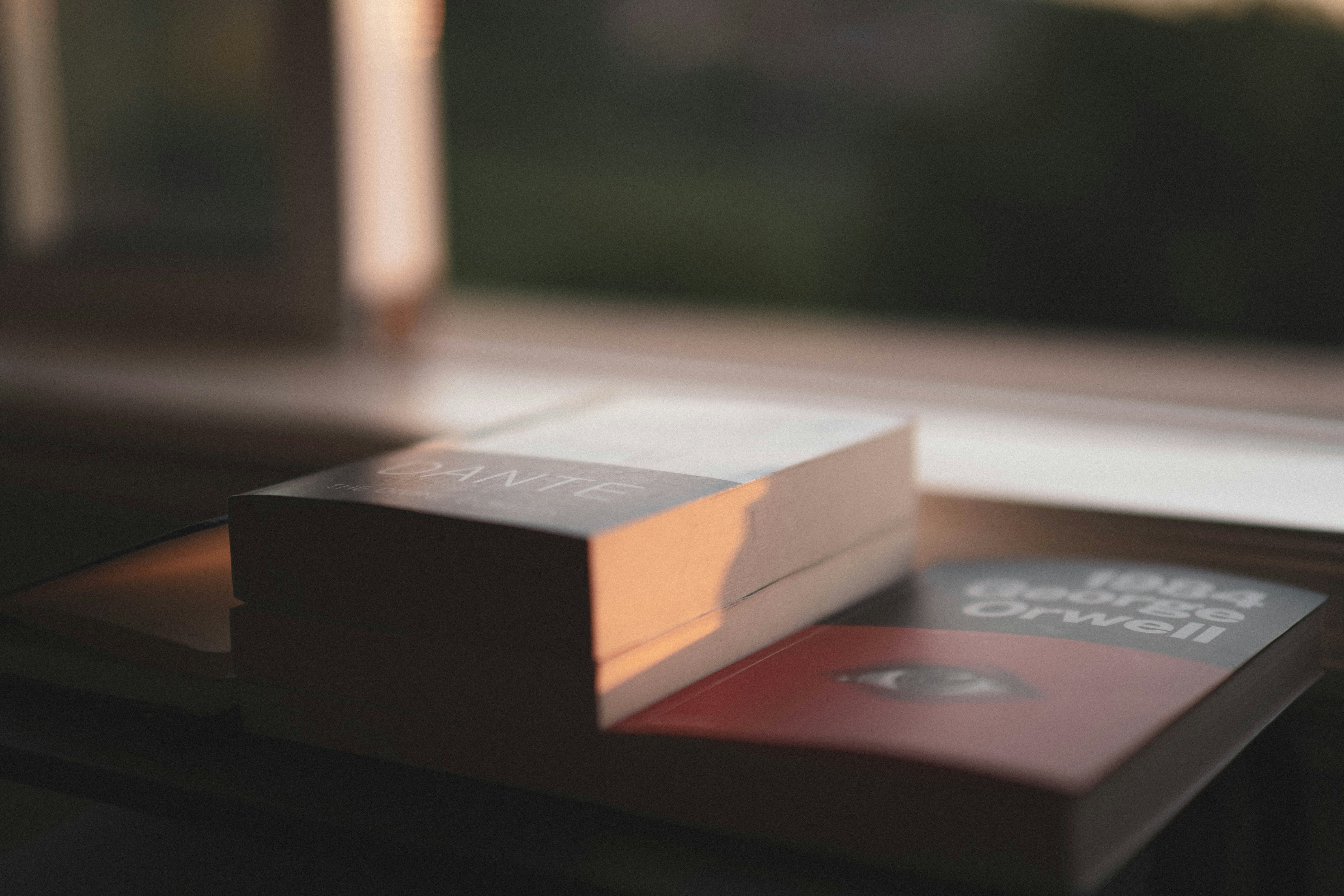 Photo by joaomncsanfins