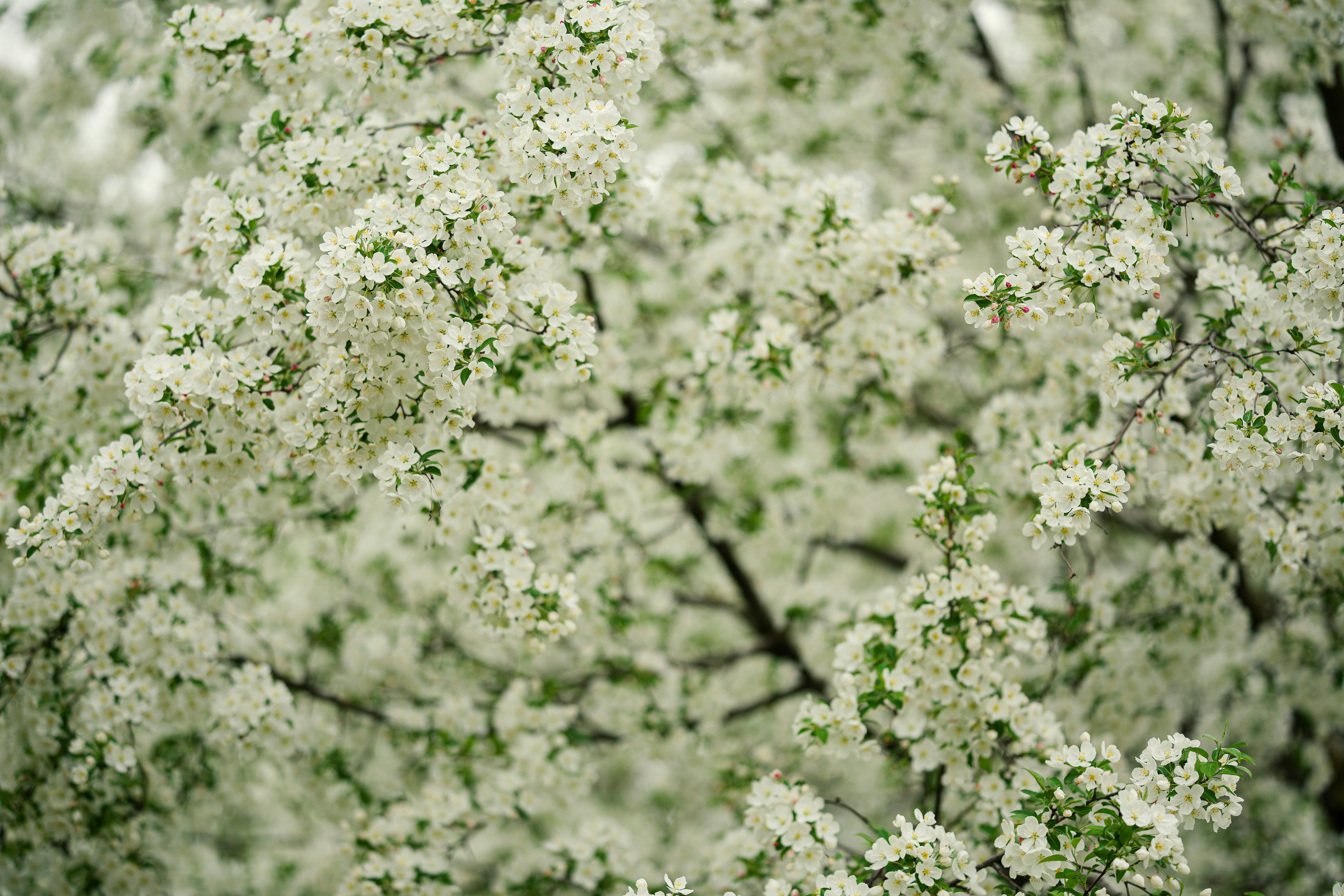 Photo by brianstalter