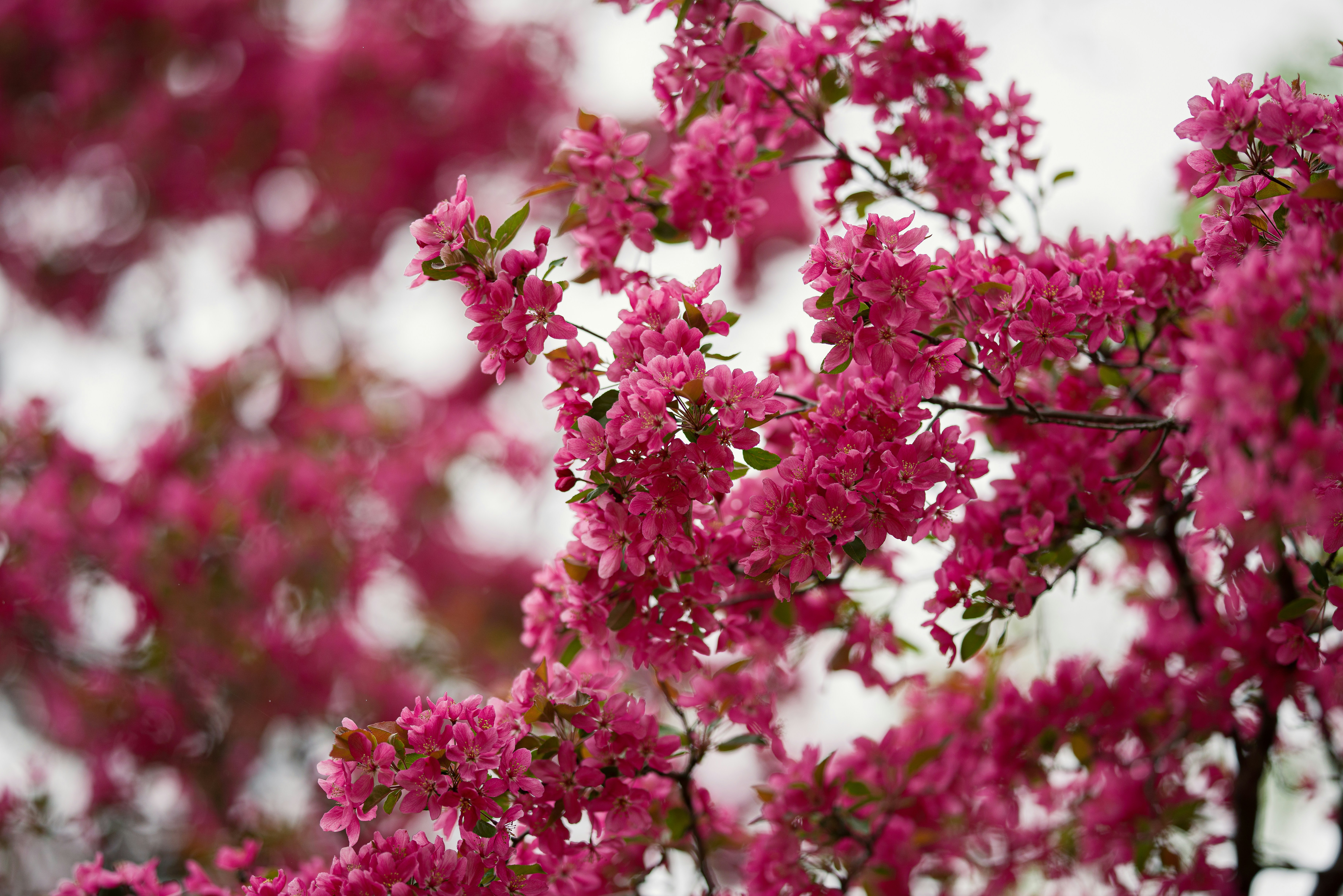 Photo by brianstalter