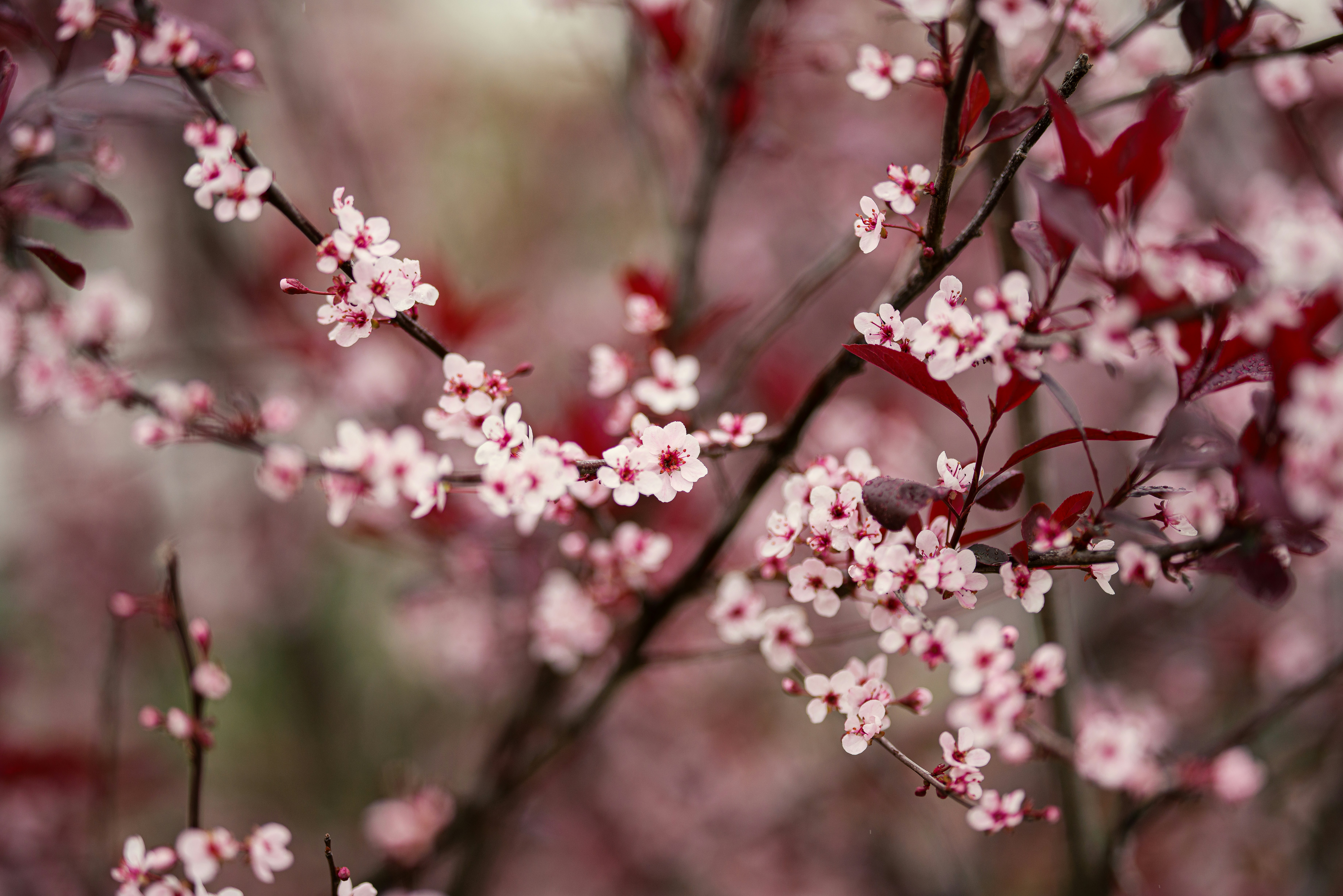 Photo by brianstalter