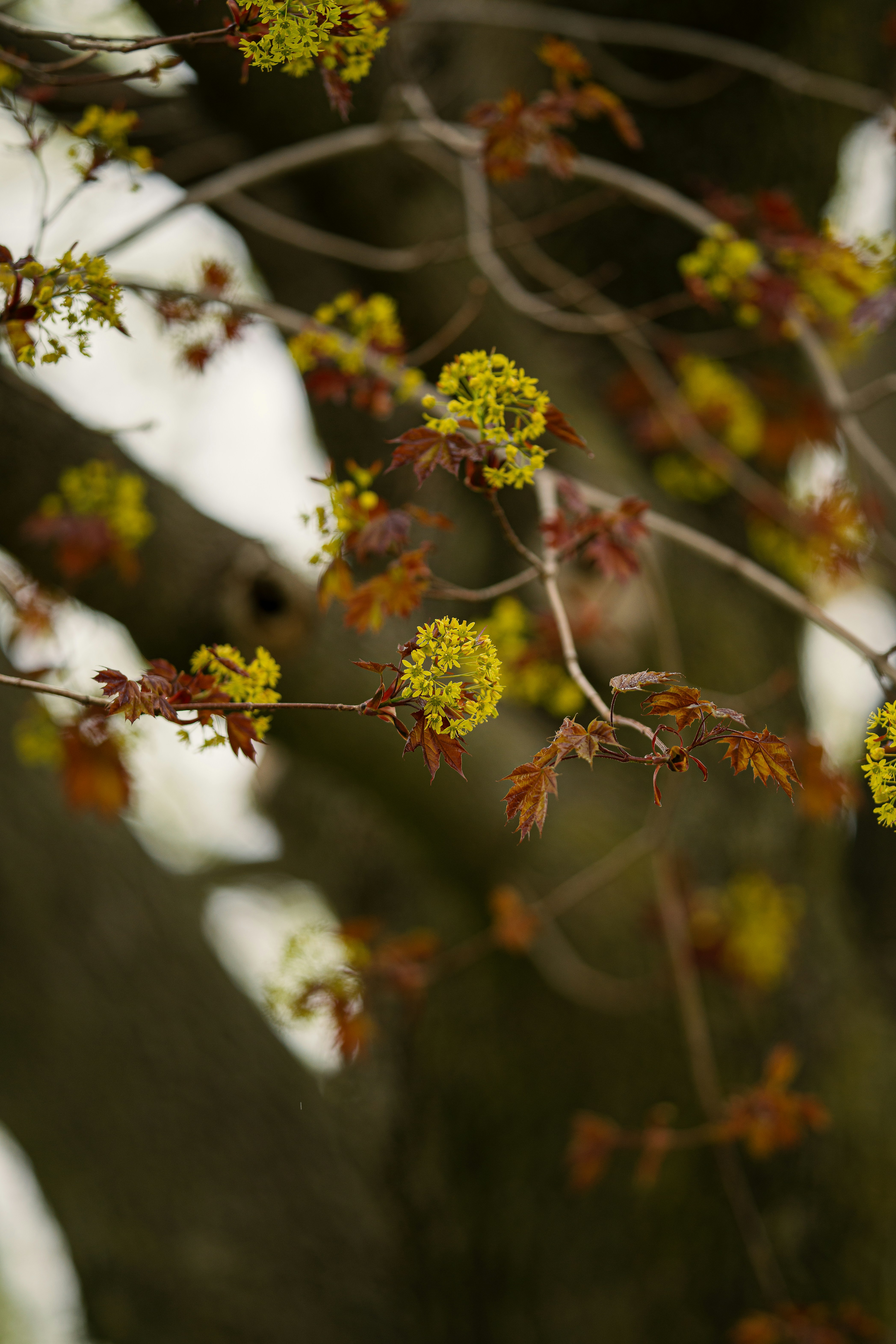 Photo by brianstalter