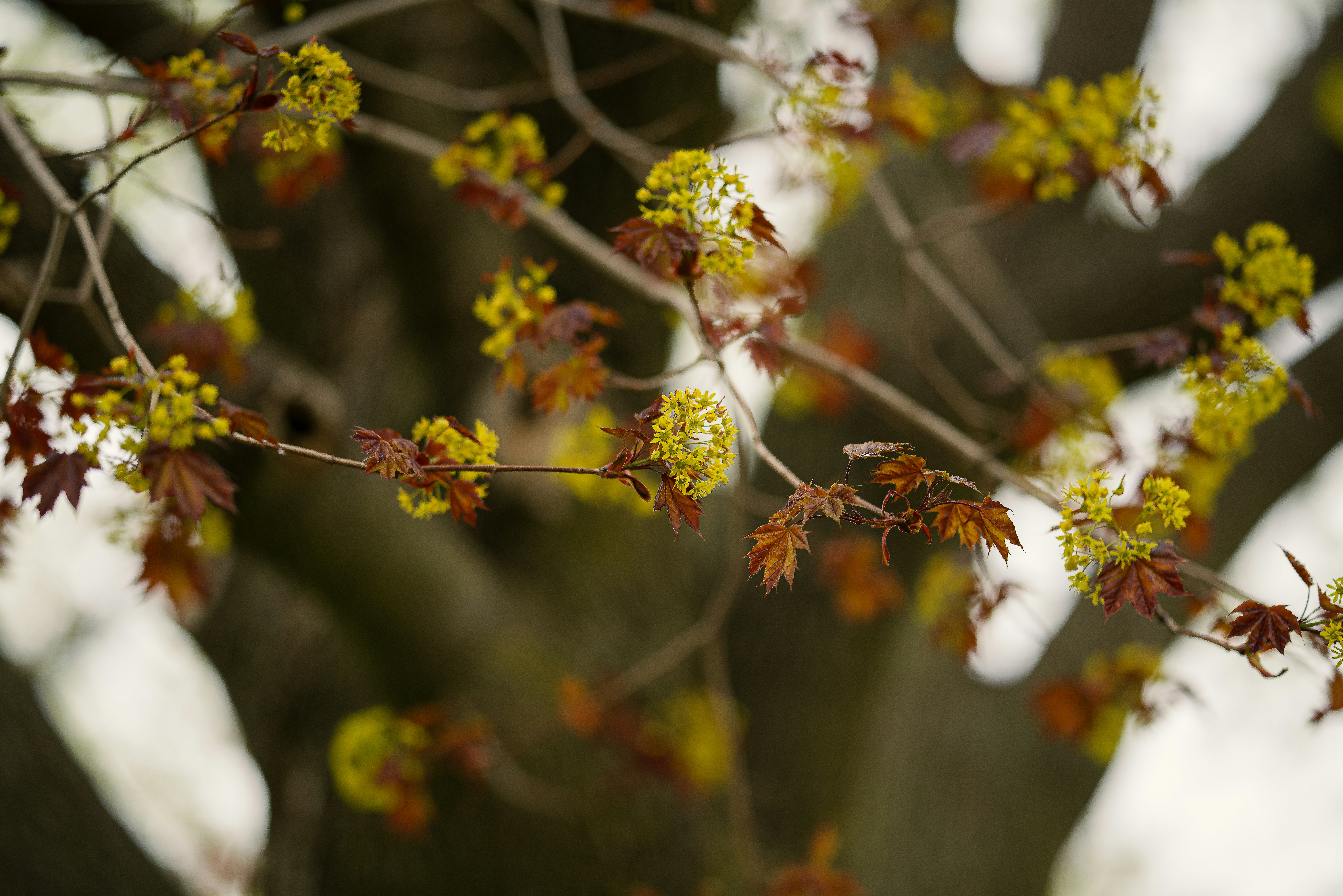 Photo by brianstalter