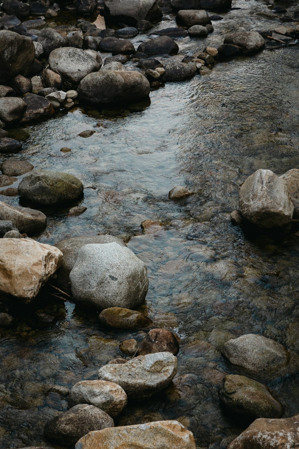 a stream of water with rocks in it