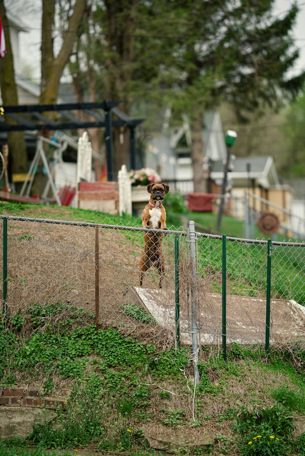 a small child is standing behind a fence