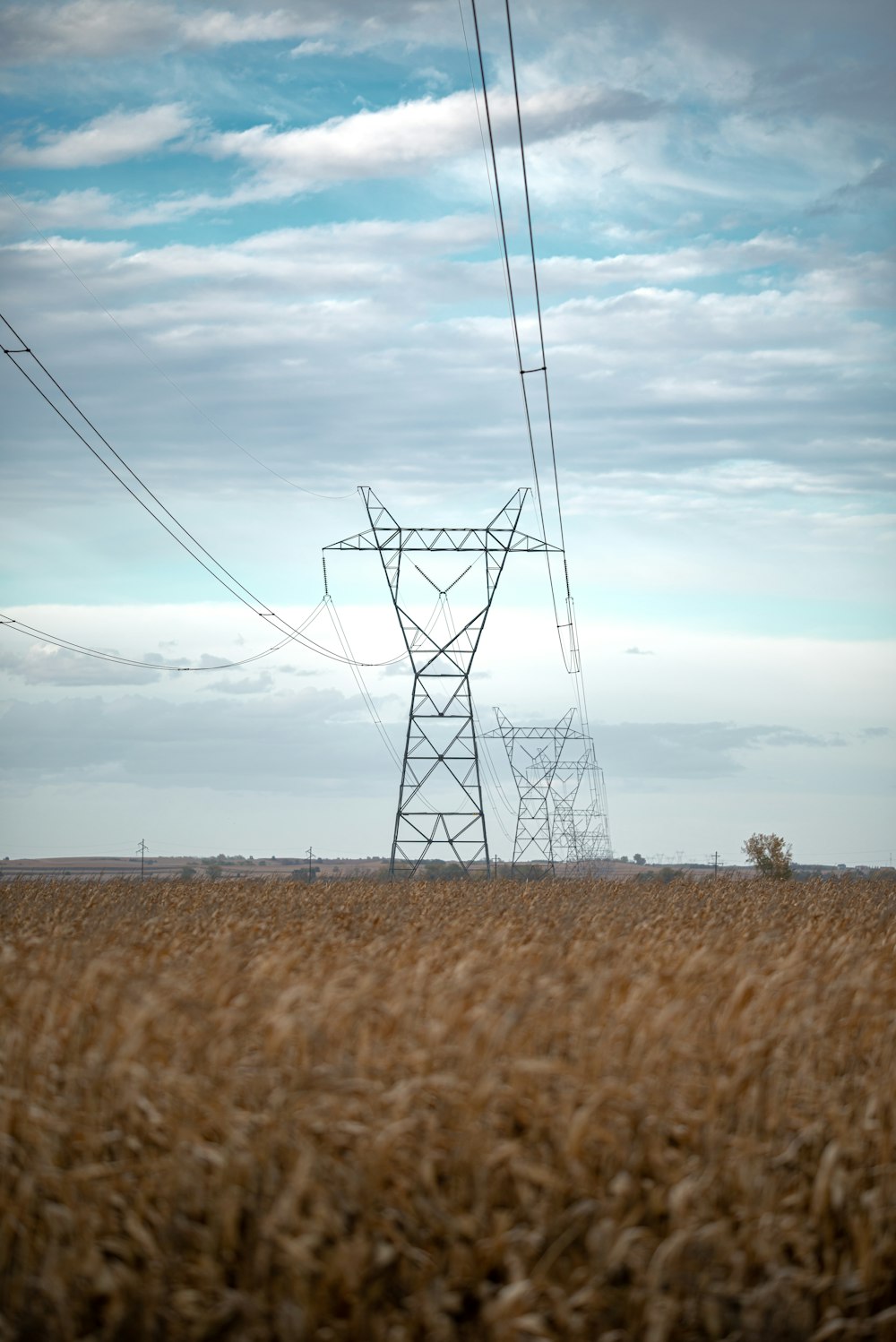 a power line in the middle of a wheat field