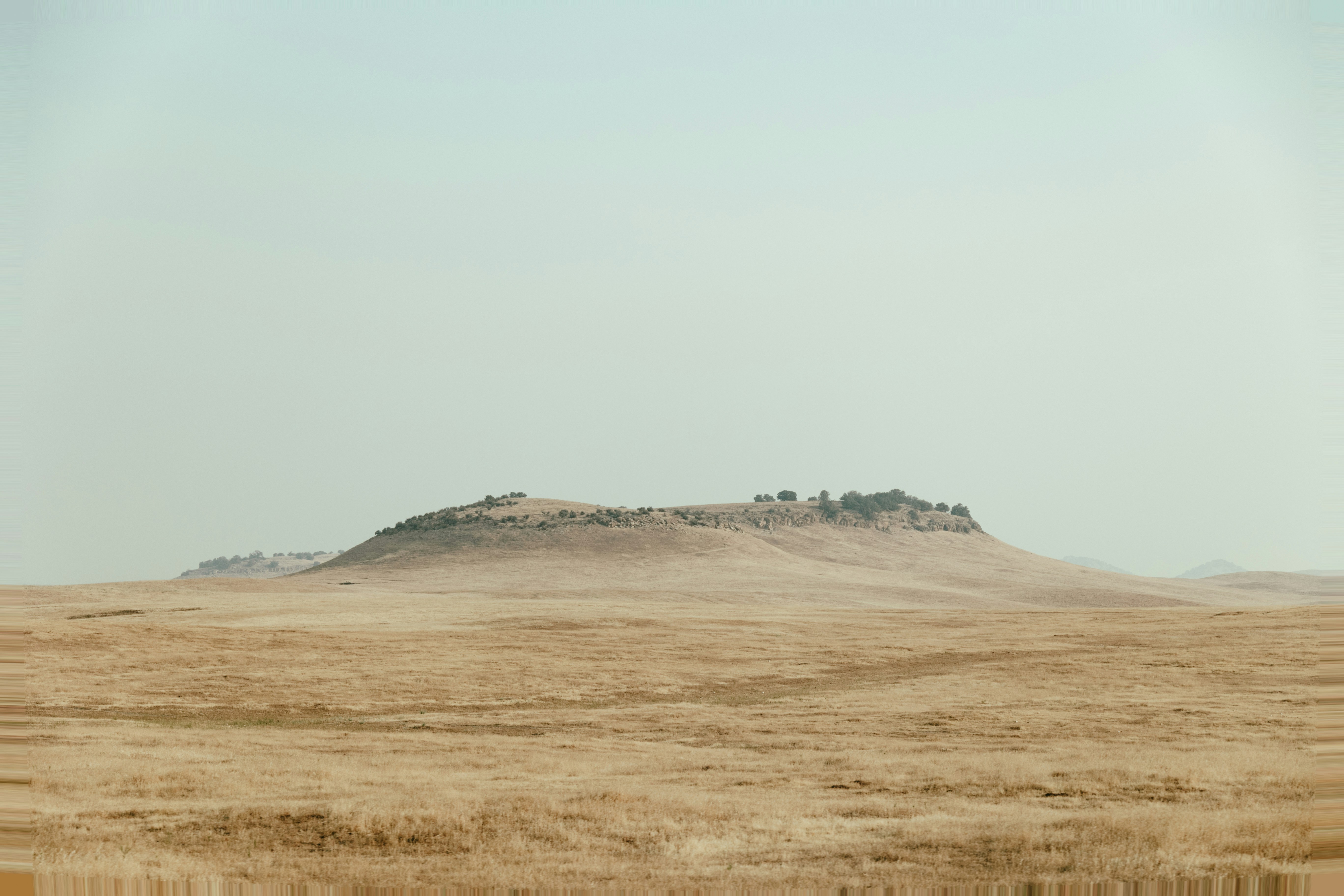 遠くに丘のある広い畑