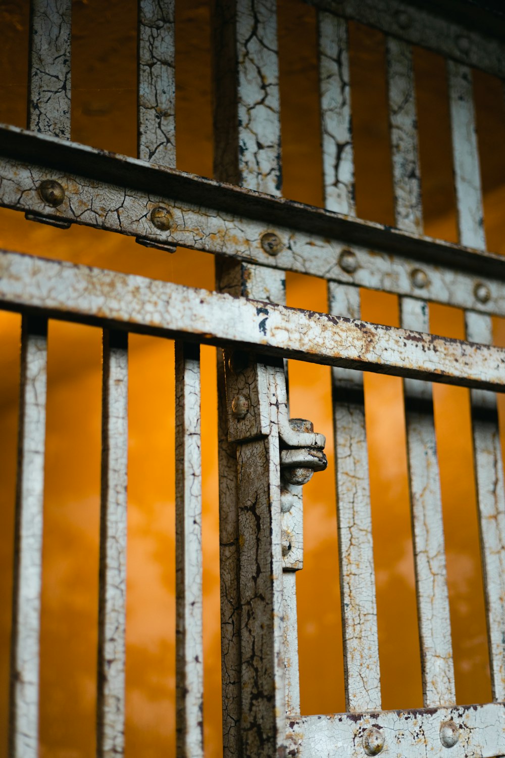 a close up of a metal gate with a sky in the background