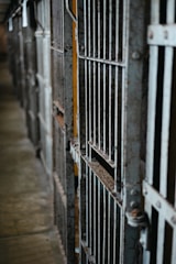 A close-up of weathered prison bars casting shadows on a faded contract document.