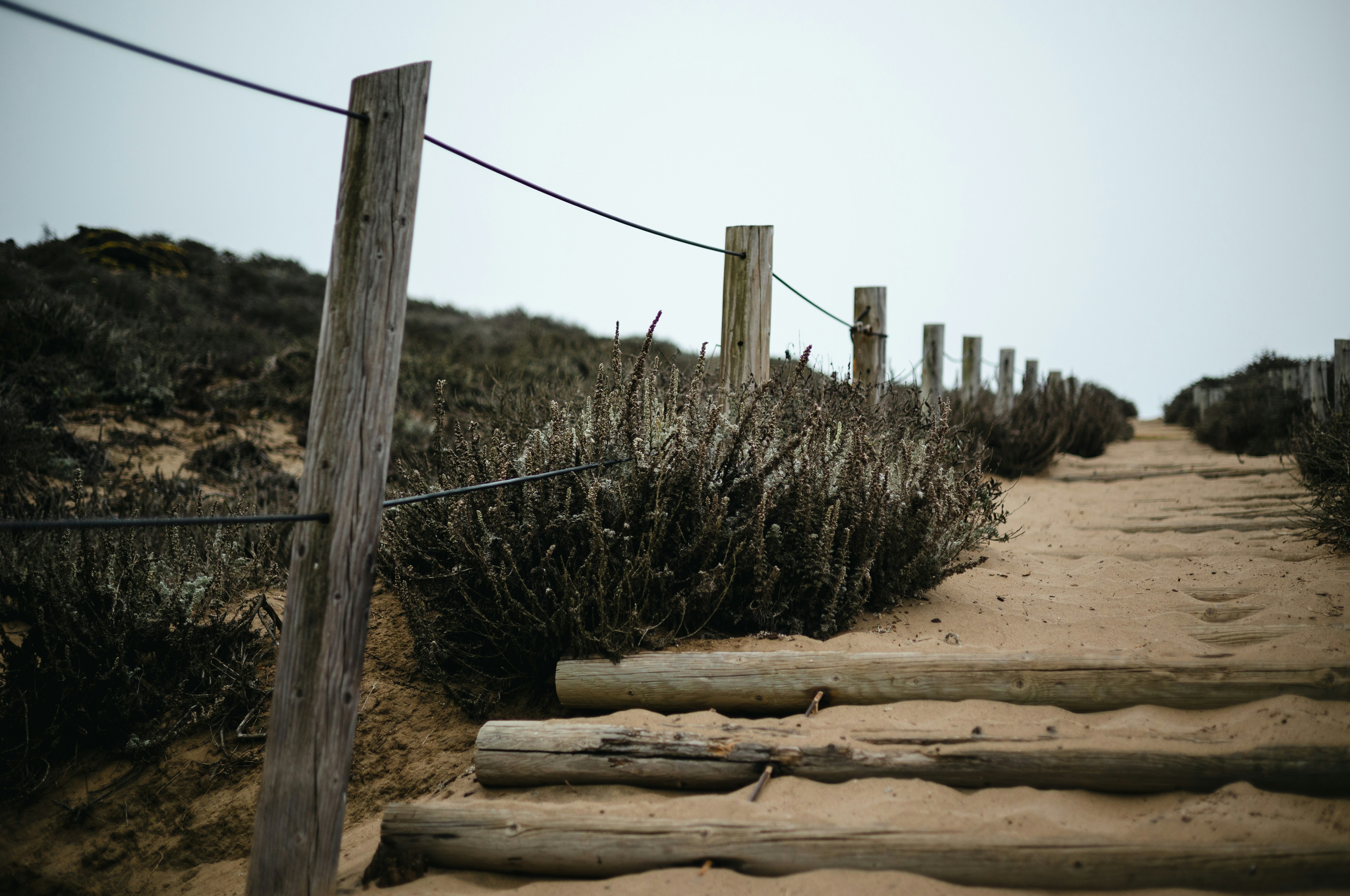 Humpday Headlines: Serial Harasser Already In Jail In SF