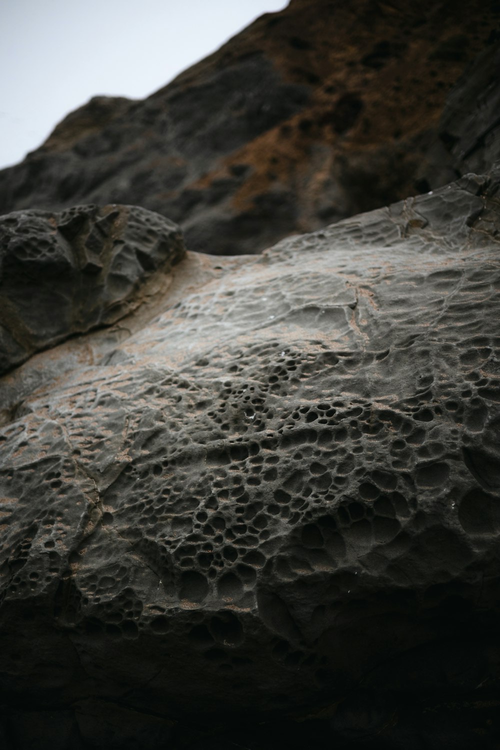 a close up of a rock with a bird perched on it