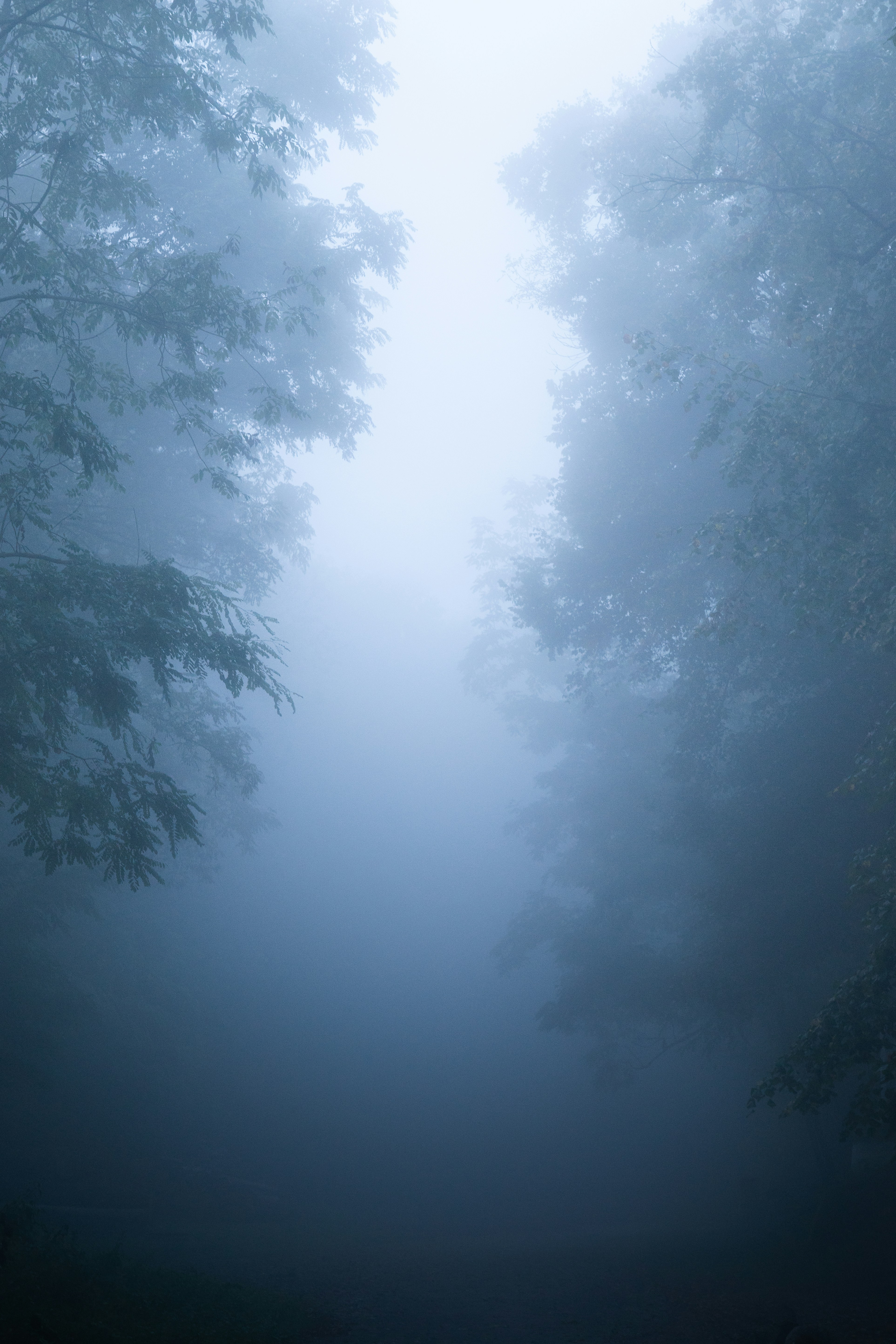 Photo by theverticalstory