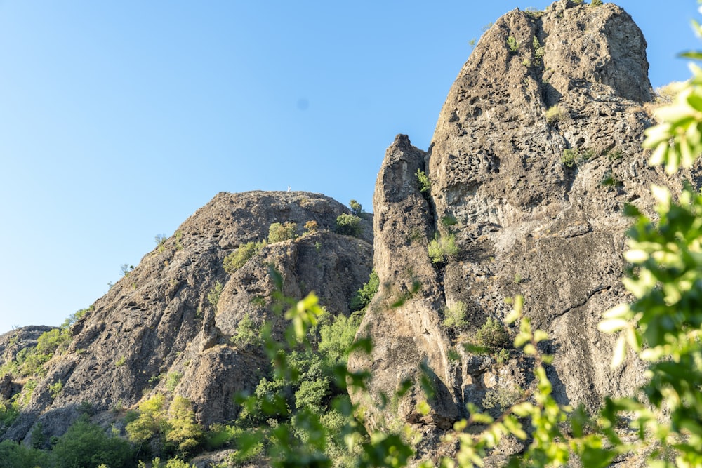 a rocky mountain with trees growing out of it