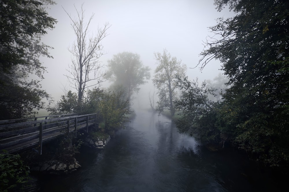 a foggy river with a wooden bridge in the foreground