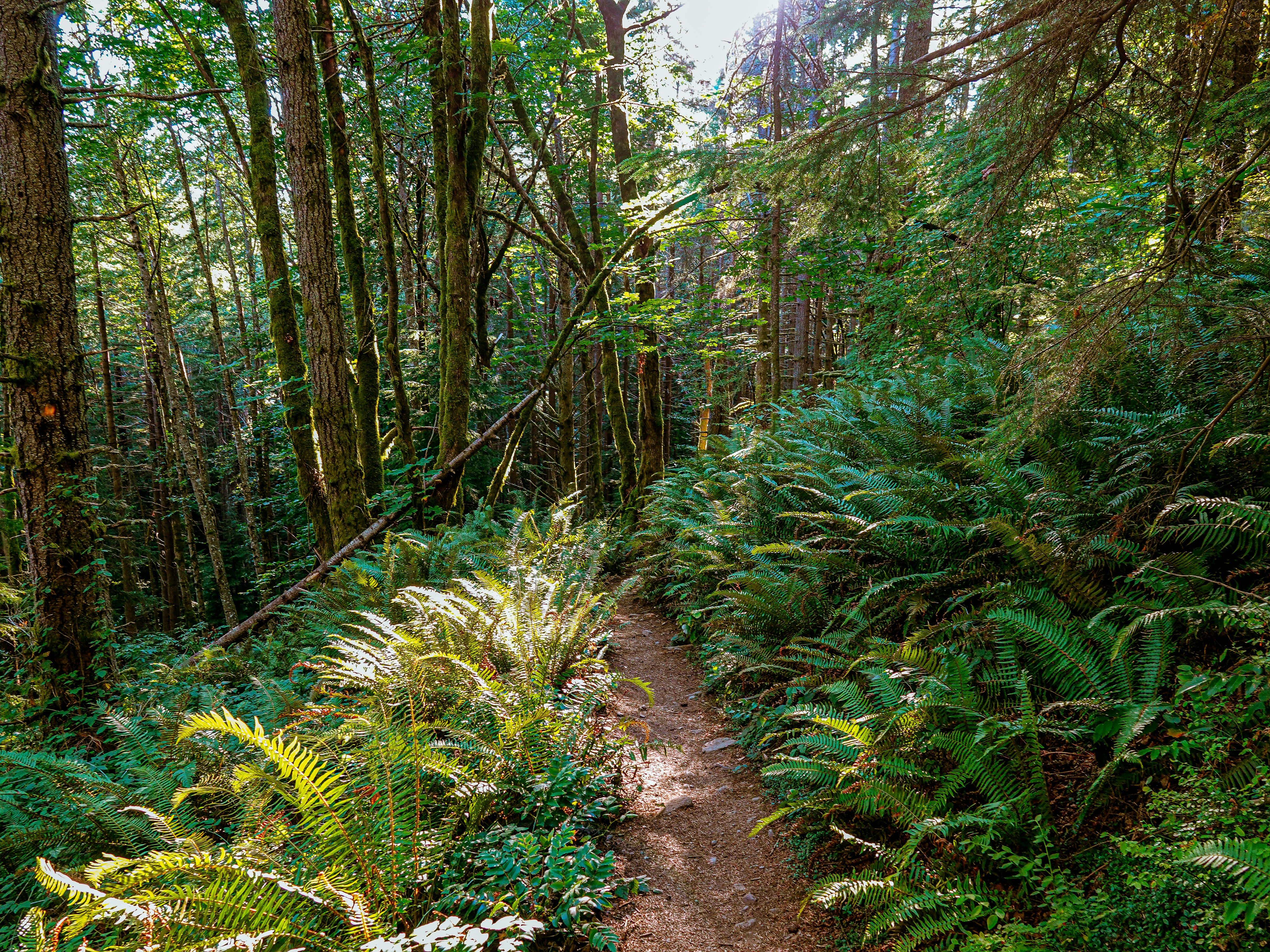 Photo by pavlpolo_official