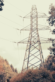 A tall electricity transmission tower stands amidst a forest landscape, surrounded by green and brown foliage. The structure is made of metal, supporting high-voltage power lines that stretch across the sky. The trees frame the tower, creating a contrast between industrial and natural elements.