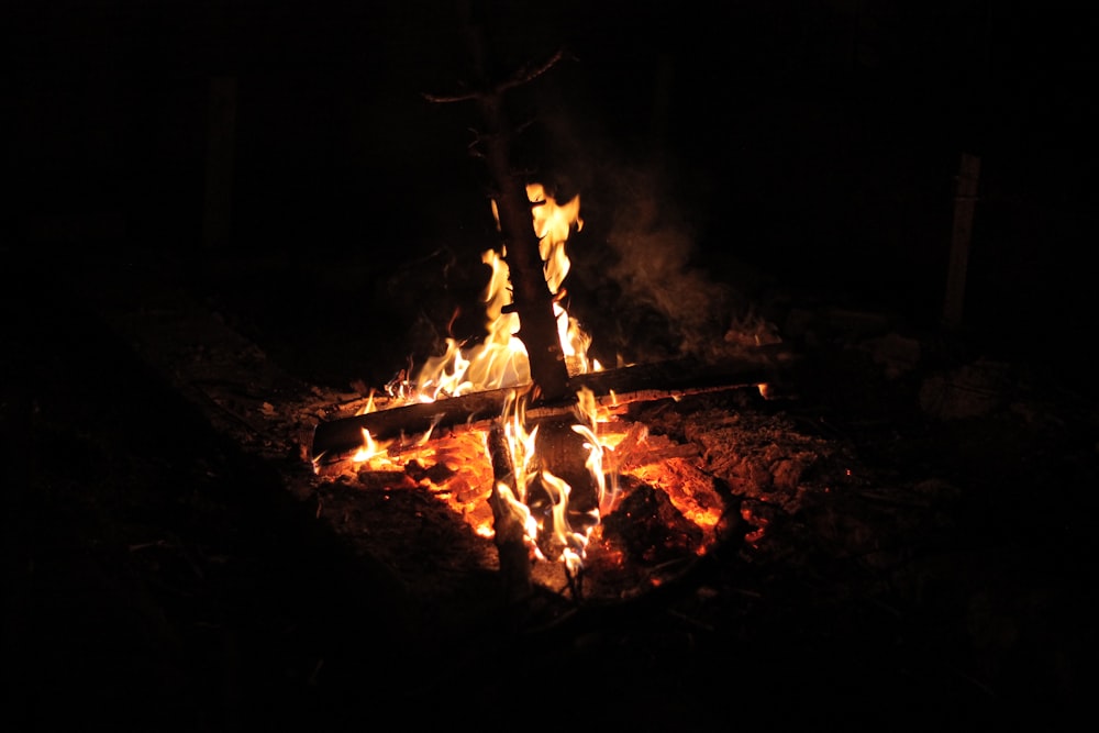 a campfire is lit up in the dark