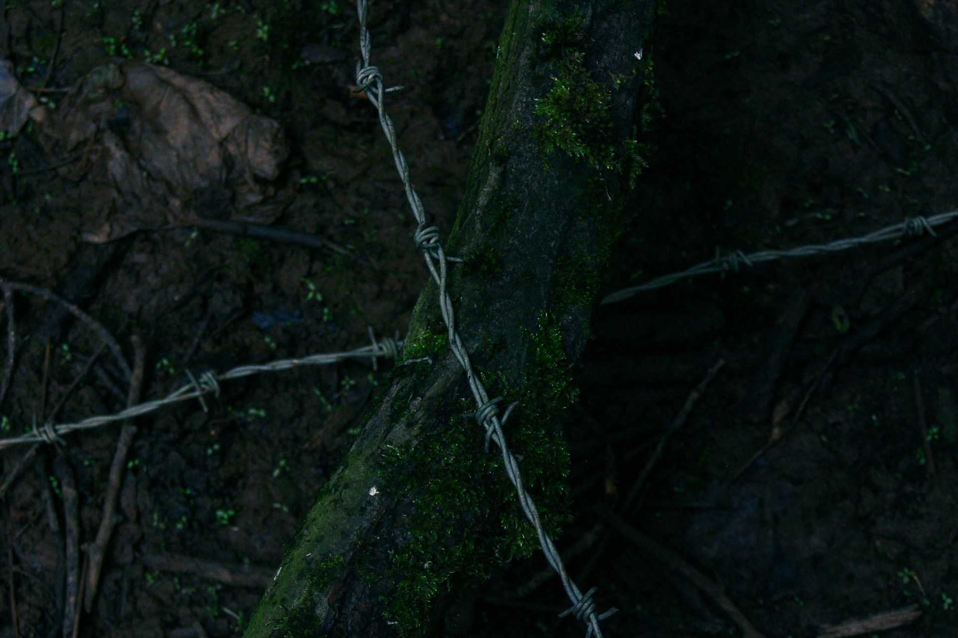 a close up of a barbed wire fence