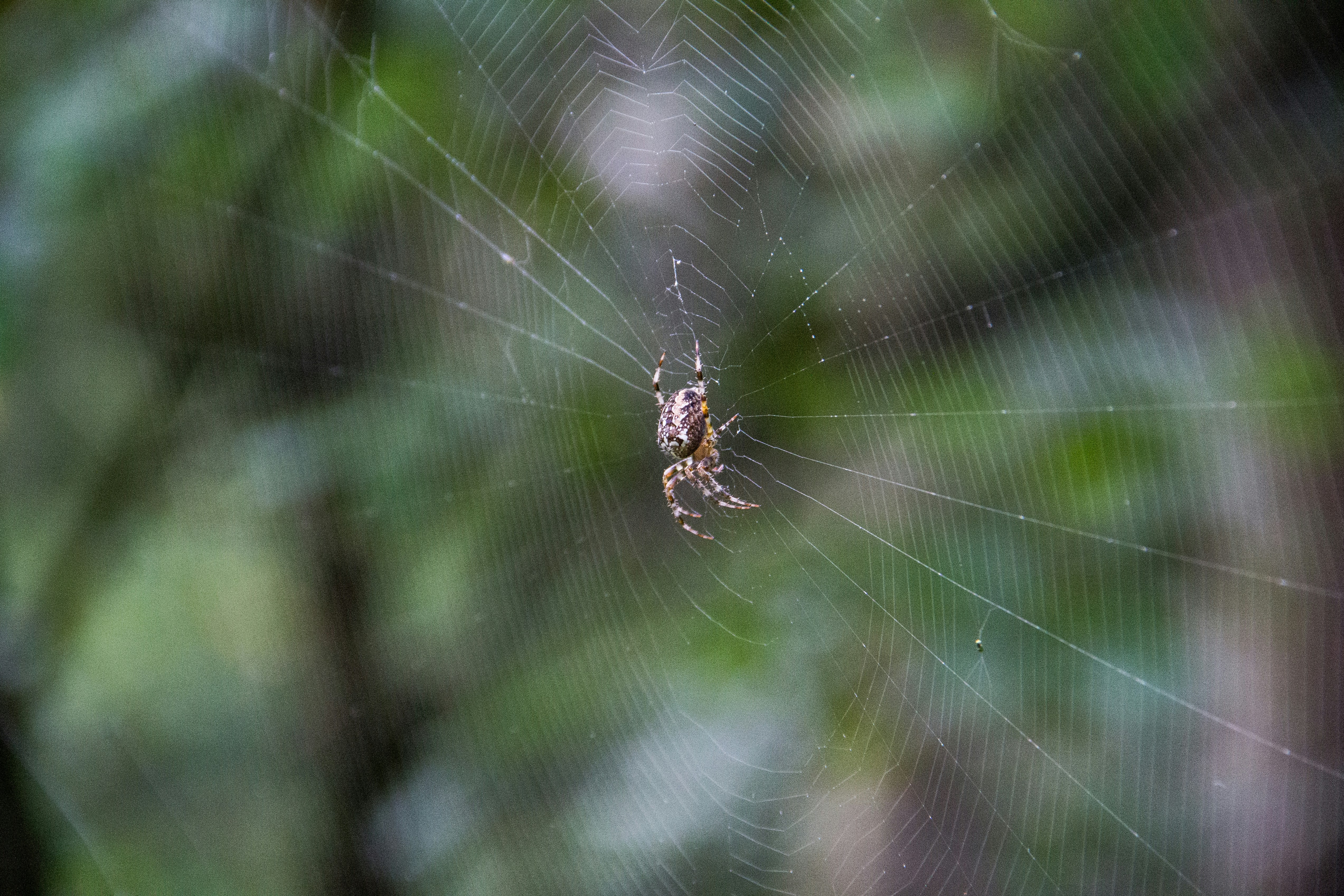 리모델링 후 보장 항목 어떻게 바뀌는지 아시나요?