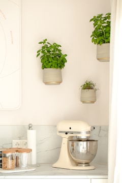 A modern kitchen countertop featuring a cream-colored stand mixer with a stainless steel bowl. The marble backsplash adds elegance to the setting. Above, three sleek pots with lush green basil plants are mounted on the wall. Nearby, there are clear glass jars with wooden lids, a roll of paper towels, and an electrical outlet.