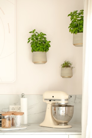 A modern kitchen countertop featuring a cream-colored stand mixer with a stainless steel bowl. The marble backsplash adds elegance to the setting. Above, three sleek pots with lush green basil plants are mounted on the wall. Nearby, there are clear glass jars with wooden lids, a roll of paper towels, and an electrical outlet.