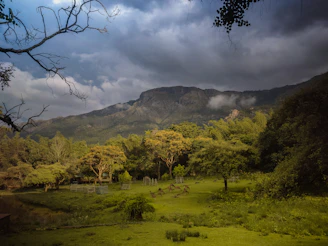 a lush green field surrounded by mountains under a cloudy sky
