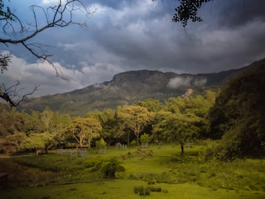 a lush green field surrounded by mountains under a cloudy sky