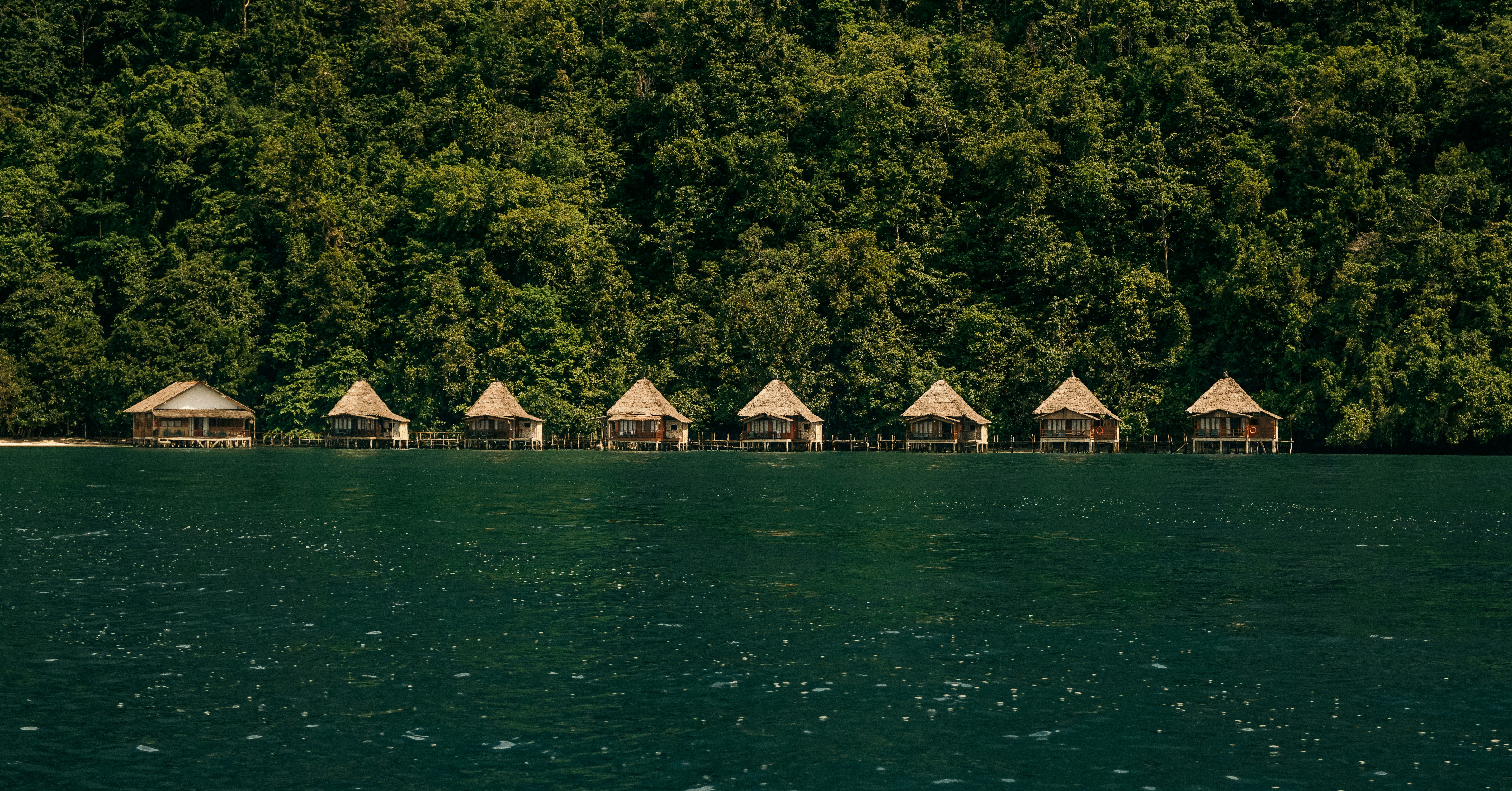 Photo by jodyyyyyyyyyyyyyyyyy