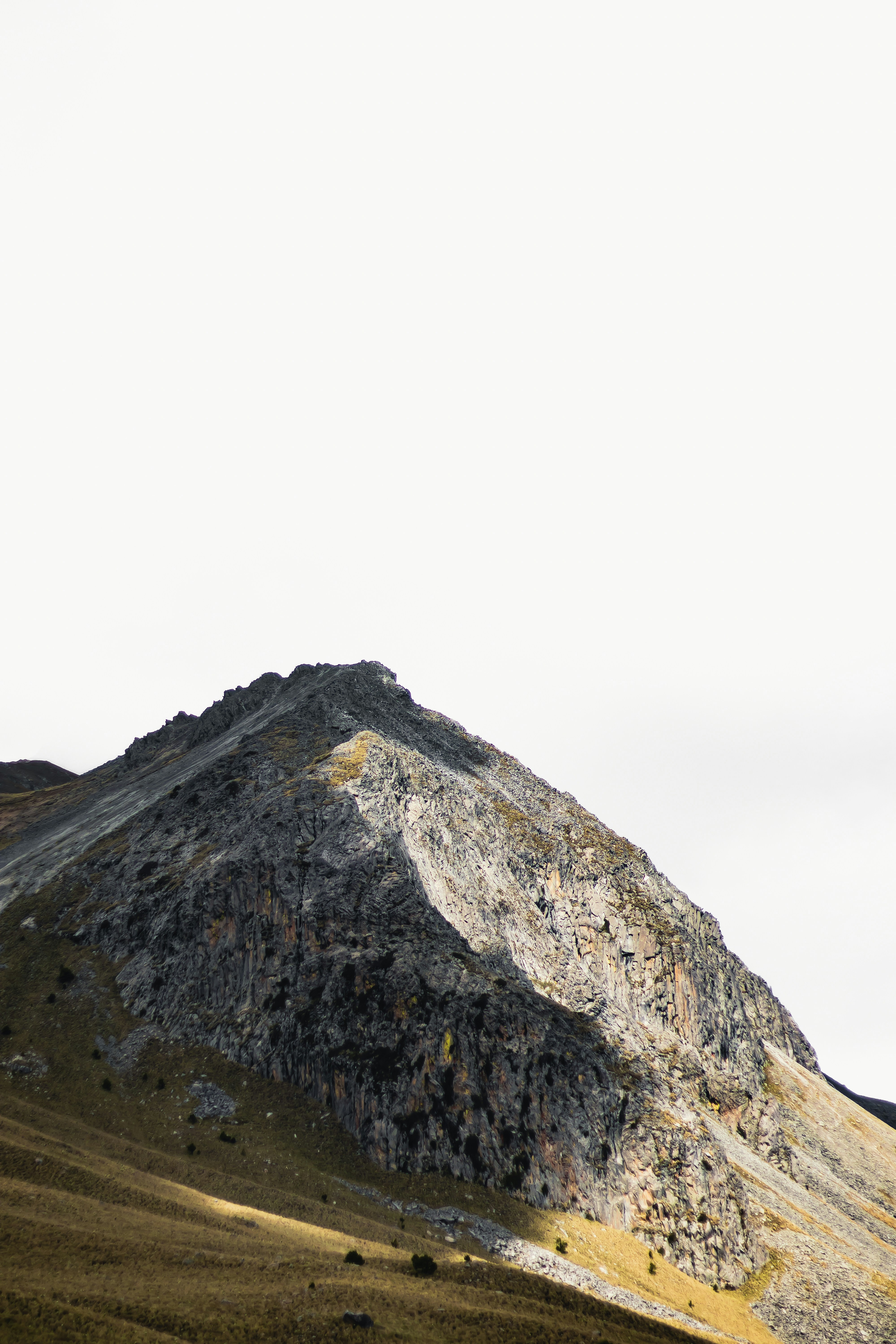 Photo by daniel_tellez_