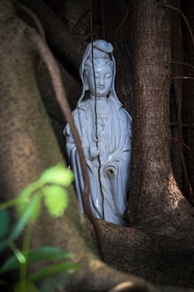 A white porcelain statue is nestled between the large, winding roots of a tree. The statue depicts a serene figure with a peaceful expression, surrounded by the natural textures and shadows of the tree bark. Soft green leaves are visible in the lower left corner, adding contrast to the scene.