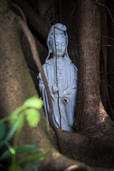 A white porcelain statue is nestled between the large, winding roots of a tree. The statue depicts a serene figure with a peaceful expression, surrounded by the natural textures and shadows of the tree bark. Soft green leaves are visible in the lower left corner, adding contrast to the scene.
