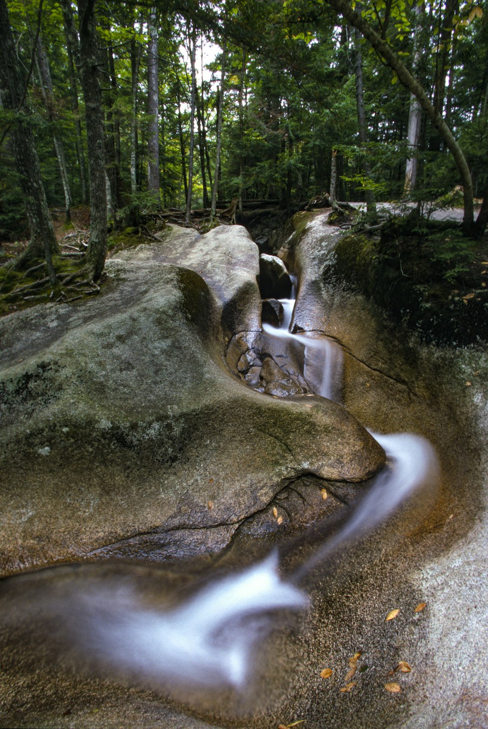 a long exposure photo of a stream in the woods