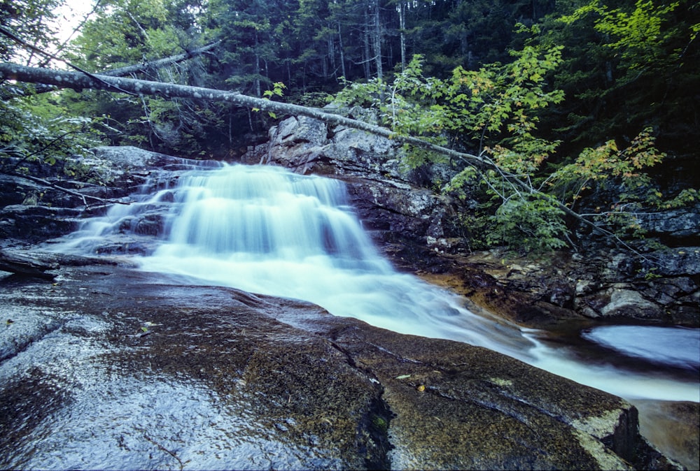 a waterfall in the woods with a fallen tree