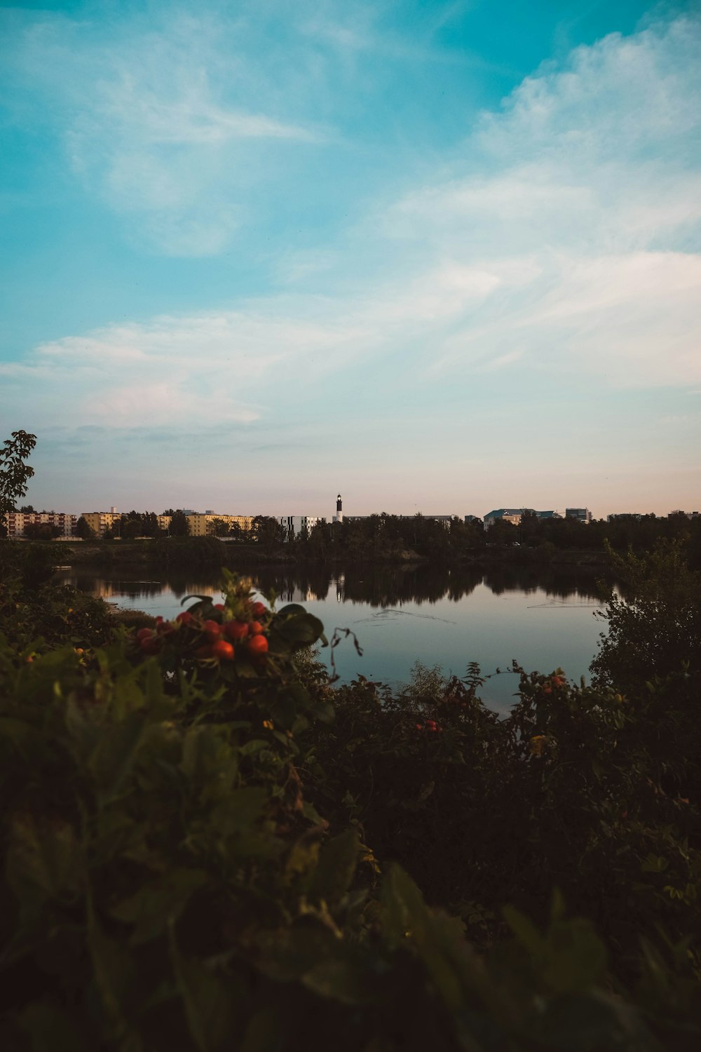 a body of water surrounded by trees and bushes