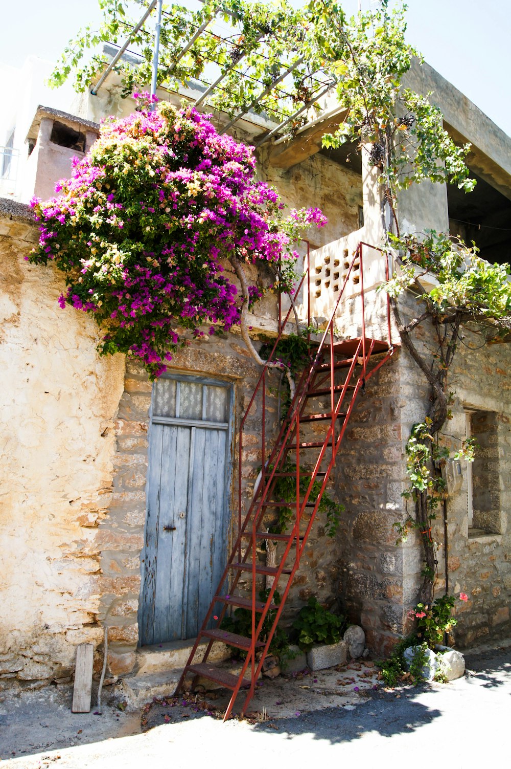 an old building with a ladder and flowers growing on it