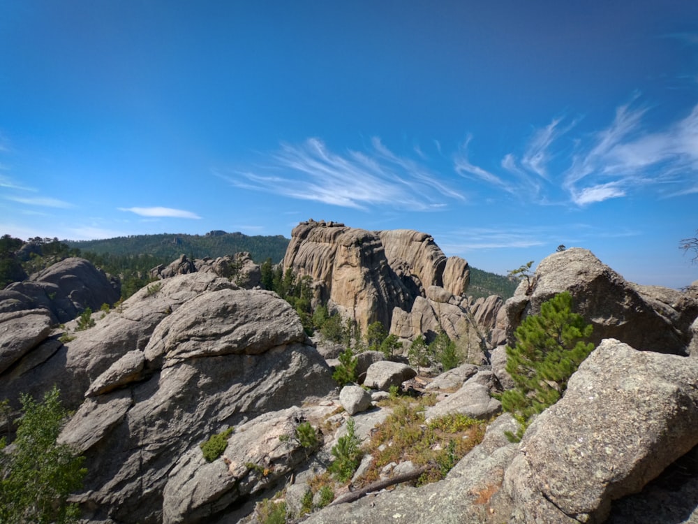 a view of some rocks and trees on a sunny day