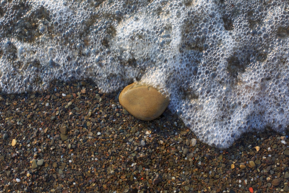 a rock sitting on top of a sandy beach