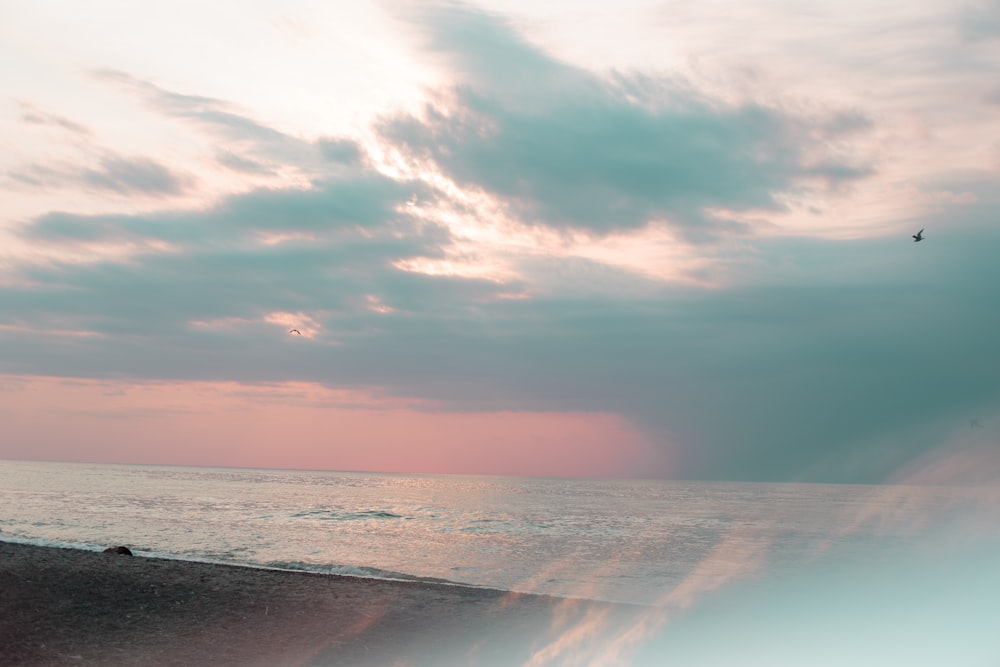 a bird flying over a body of water under a cloudy sky