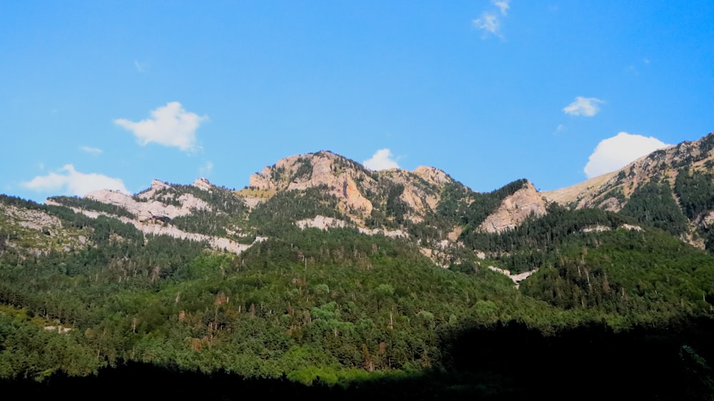 a view of a mountain range with trees in the foreground