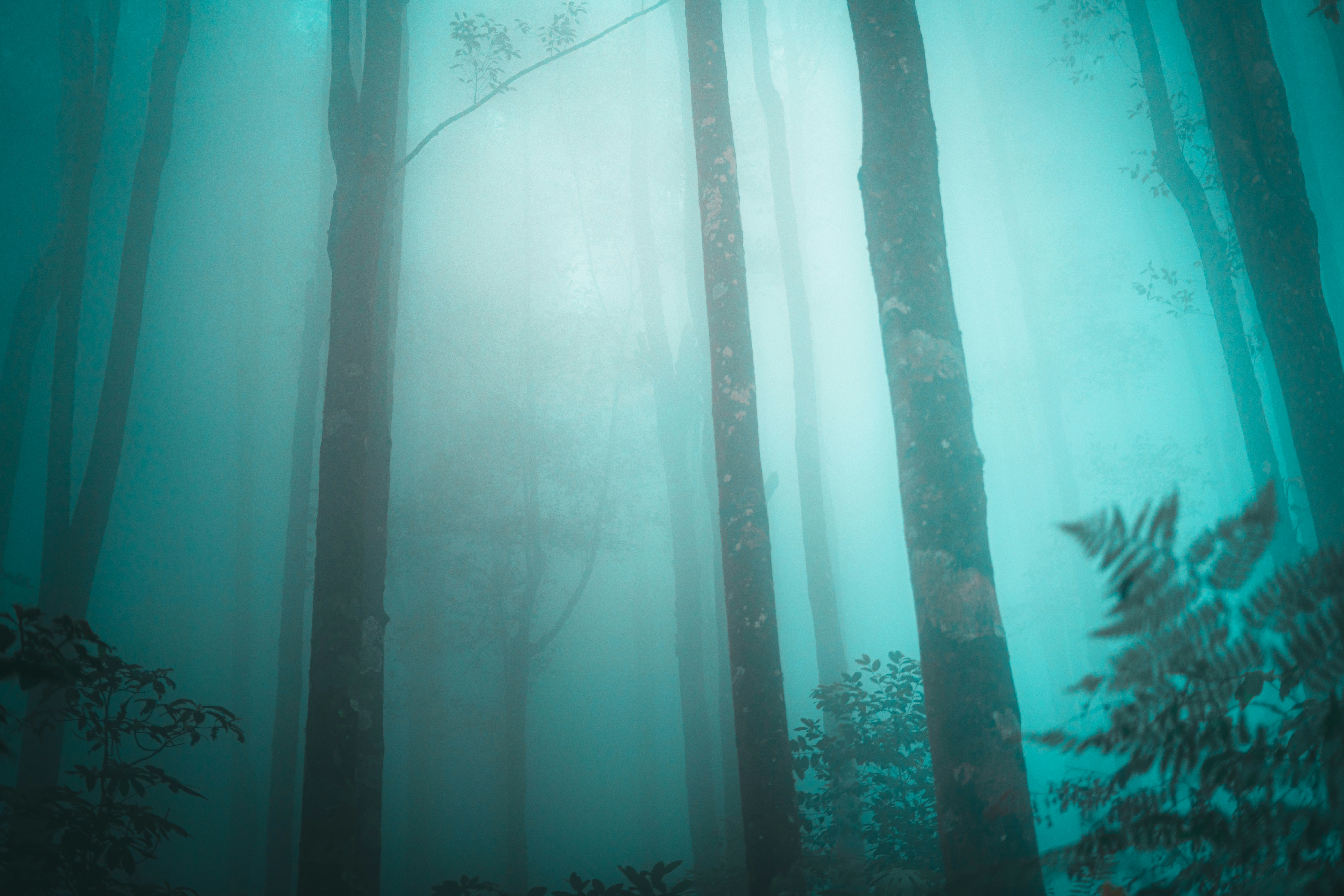 Photo by visualsofdana