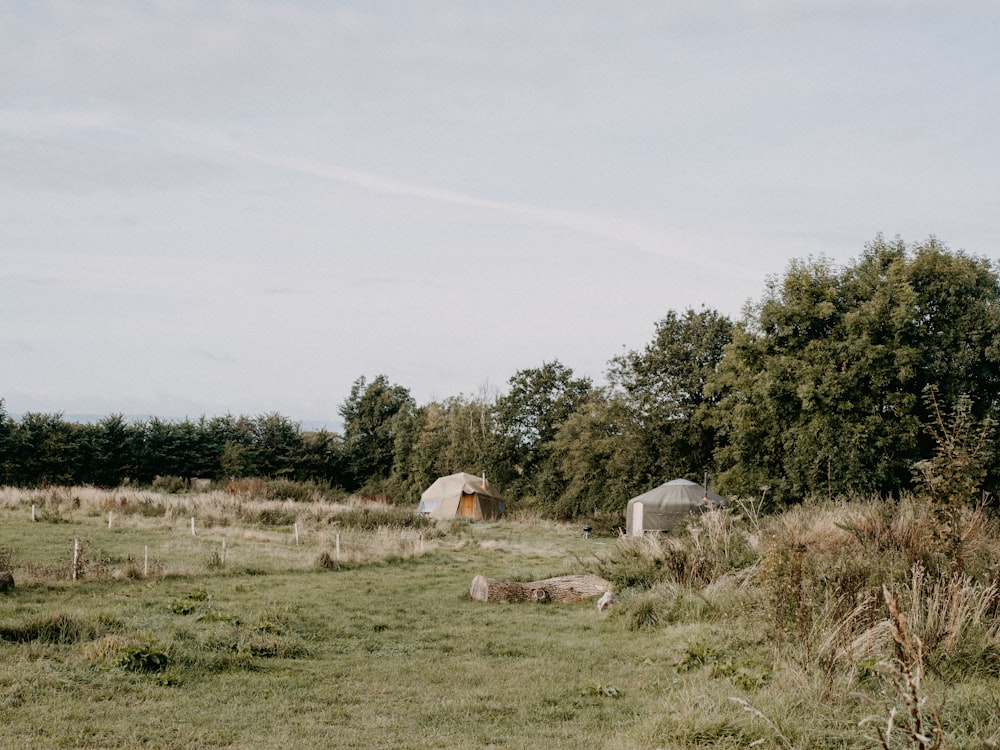 a grassy field with a small building in the background