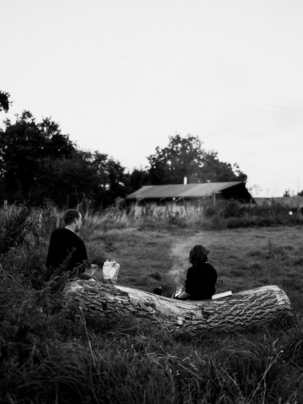 two people sitting on a log in a field