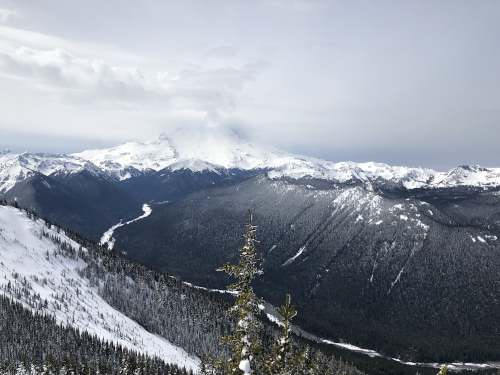 a view of a snowy mountain range with trees in the foreground