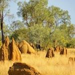 Northern Territory, Australia