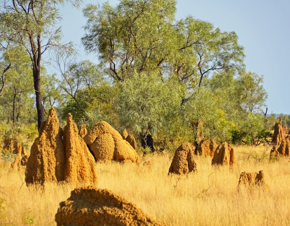 Northern Territory, Australia