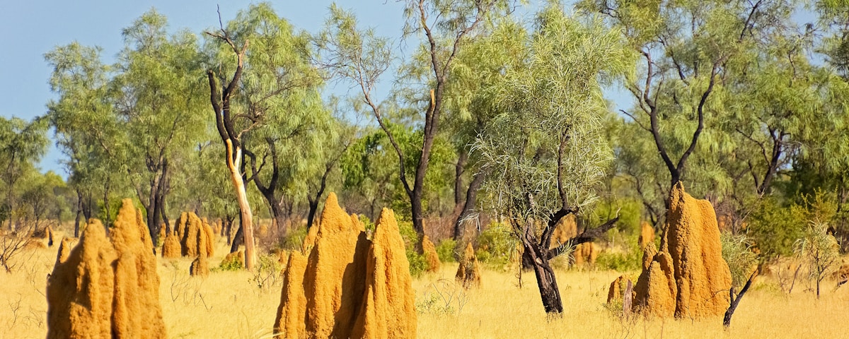 Northern Territory, Australia